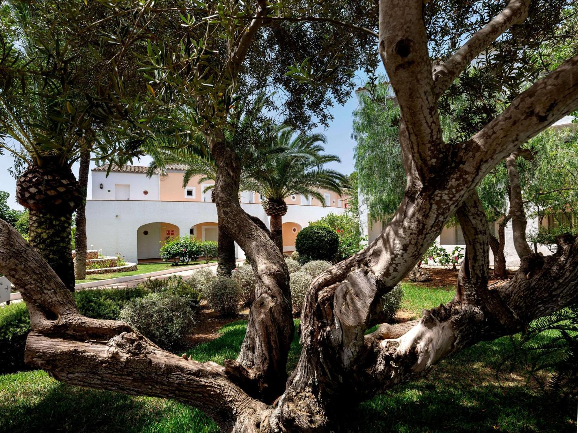 Sol Falco Menorca Son Xoriguer Exteriér fotografie